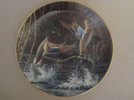 Mallard Ducks Collector Plate Aloft Michael Budden Free As The Wind #2 Waterfowl - £22.38 GBP