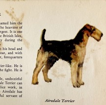Airedale Terrier 1939 Dog Breed Art Ole Larsen Color Plate Print Antique... - $584.49 MXN