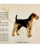 Airedale Terrier 1939 Dog Breed Art Ole Larsen Color Plate Print Antique... - €26,12 EUR