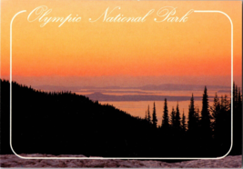 Vtg Postcard Olympic National Park, Twilight at Hurricane Ridge,San Juan Islands - £5.20 GBP