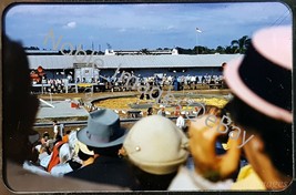 1950s Sarasota Ringling Circus Hall of Fame Dogs Trainer People Kodachrome Slide - £2.72 GBP