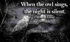 &quot;When The Owl Sings, The Night Is Silent..&quot; Quote Publicity Photo - £6.48 GBP