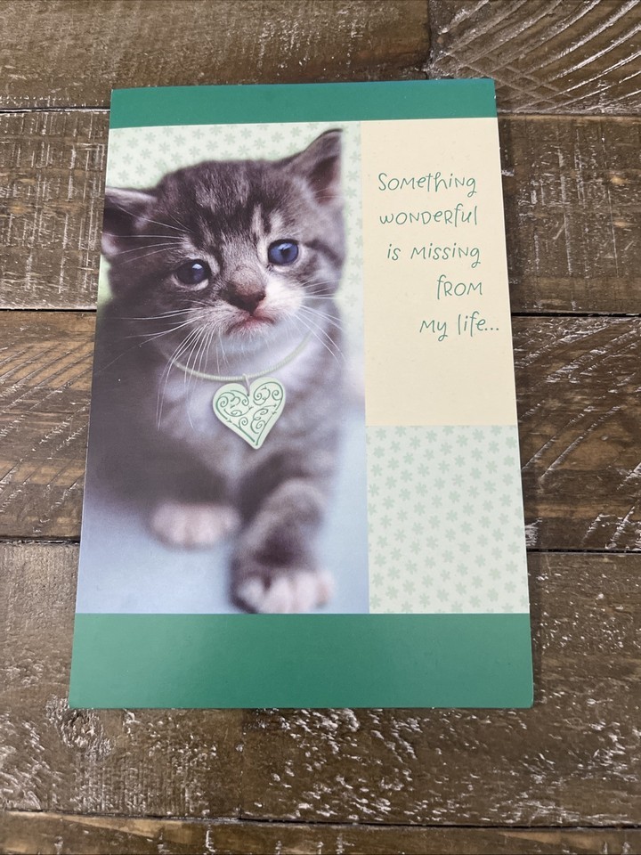 American Greetings Greeting Card Missing You Wonderful - $8.79