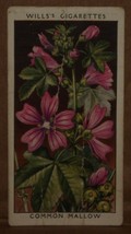 VINTAGE WILLS CIGARETTE CARDS WILD FLOWERS COMMON MALLOW No # 21 NUMBER ... - $1.75