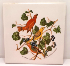John James Audubon &quot;Summer Tanager&quot; 6X6 Tile Trivet - £12.60 GBP