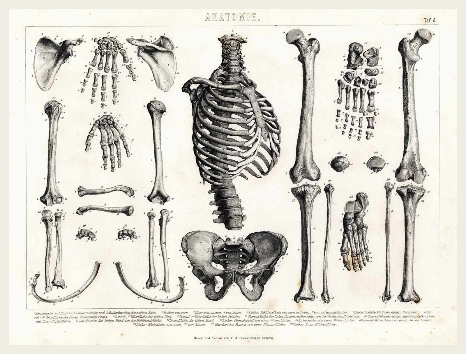 11478.Decoration Poster.Home wall Art decoration.Human anatomy hands.Medical