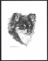 #379 long hair CHIHUAHUA   dog art print * Pen and ink drawing by Jan Je... - $12.50