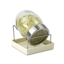 Geo TZZ0865 Geojar Glass Sprouter - Brown  - $96.00