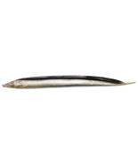 Ribbonfish Trolling Lure Bait Almost Alive Big Game Black/Glitter 8 Pack... - €51,20 EUR
