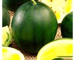 Black Diamond Yellow Belly Watermelon 20 Seeds | Non-Gmo | Heirloom  - £5.17 GBP