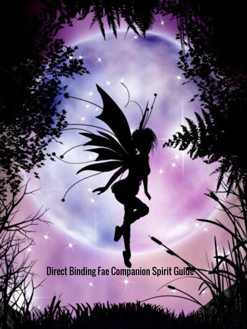 Primary image for Direct Binding Fae Companion Spirit Guide