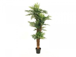 EUROPALMS Areca Palm, Artifical Plant, 170cm - $360.35