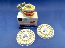 Typodont 860 Dental Universal Plate Training Replacement Teeth Upper Lower Kit - £46.92 GBP