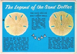 Florida Postcard Legend Of The Sand Dollar Holy Ghost Shell - $2.96