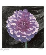 Dahlia Flower Purple HEAT PRESS TRANSFER for T Shirt Tote Sweatshirt Fab... - £5.15 GBP