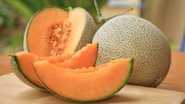 25 Premium Hearts Of Gold Non Gmo Cantaloupe Seeds - £2.46 GBP