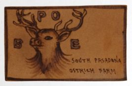 BPOE Elks Lodge Leather Postcard c1910s Fraternal South Pasadena CA Ostrich Farm - $14.99