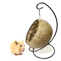 Golden Bear Coconut Shell Hanging Nest for Hamsters and Guinea Pigs - £16.19 GBP+