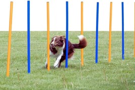 Dog Agility Course With 12 Slalom Weaves C Dog Weave Poles Ideal For Agi... - $41.99