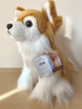 Long haired Chihuahua gift wrapped or not with an engraved tag or not  - £31.85 GBP+