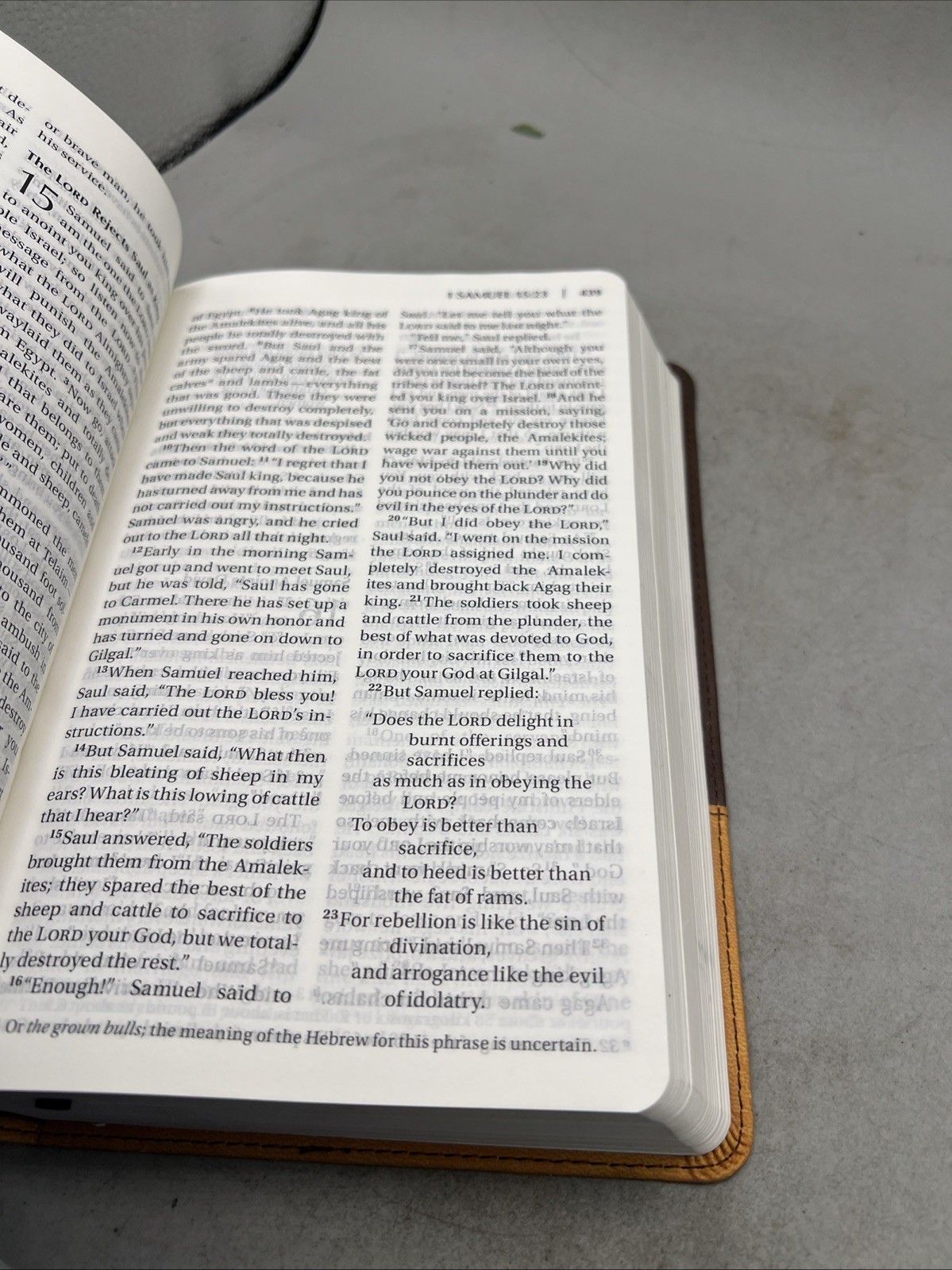 NIV Church  Holy Bible, Large Print By Zondervan 2011, Leather Back Item image 12