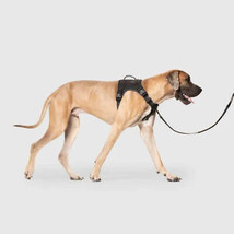 Canada Pooch Dog Complete Control Harness Black Small - £60.89 GBP