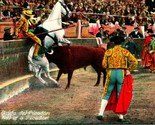 Vtg Postcard 1950s Mexico Fall of a Picador - Bullfight Scene - Unused - $9.85