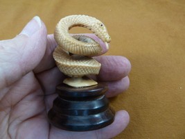 tb-snake-11 baby brown coiled standing Snake Tagua NUT palm figurine Bali snakes - £41.04 GBP