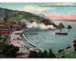 Uccelli Occhio Vista Avalon Bay Babbo Natale CATALINA Isola Ca Unp DB Ca... - $5.08