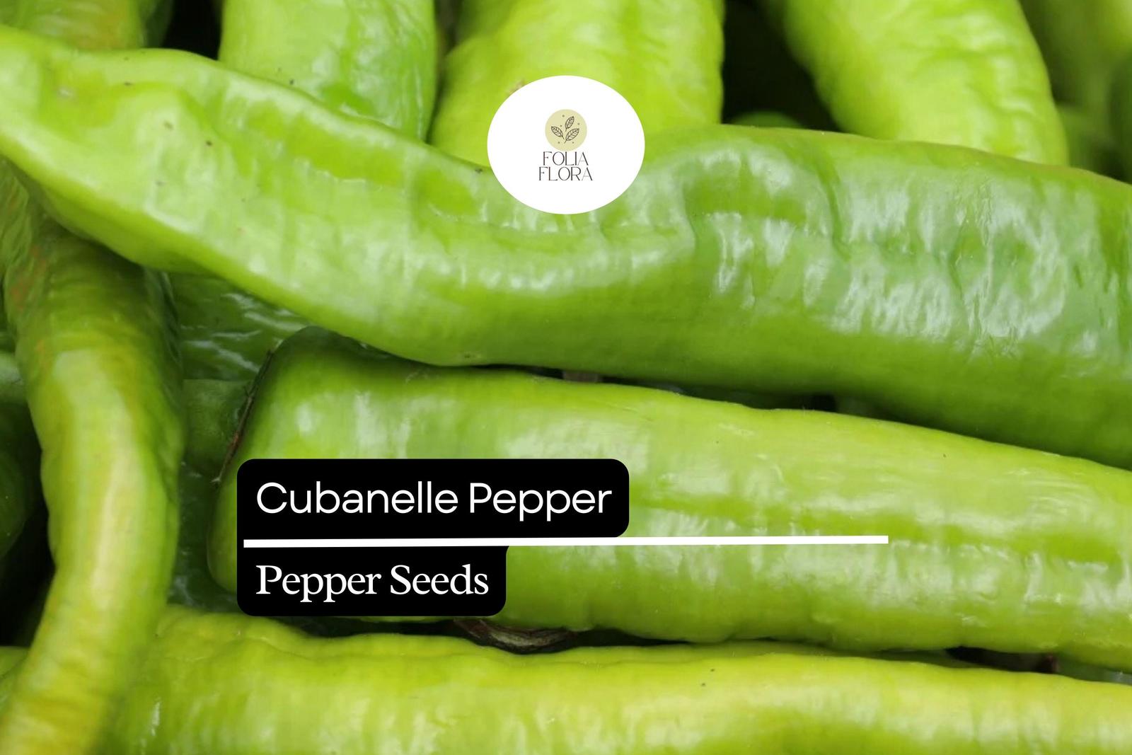 30 Seeds Cubanelle Pepper, Capsicum Annuum, Sweet Mild Heirloom Frying P... - $5.14