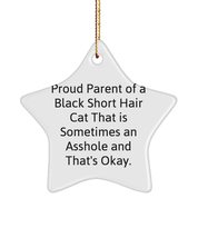 Cute Black Short Hair Cat Star Ornament, Proud Parent of a Black Short Hair Cat  - £13.45 GBP