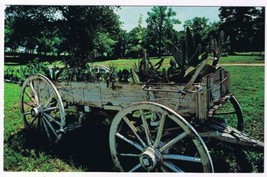 Texas Postcard Grapevine Old Cactus Wagon Austin Patio Dude Ranch - $2.96