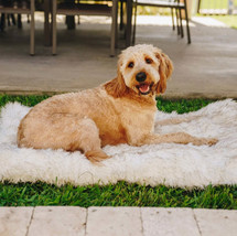 Luxury Portable Orthopedic Dog Bed with Memory Foam and Faux Fur - White with Br - £59.42 GBP