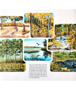 2002 International Paper Poster Life Of A Forest Care Recycling Vintage ... - €21,46 EUR 2002 International Paper Poster Life Of A Forest Care Recycling Vintage ... - €21,46 EUR