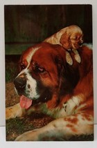 ST. BERNARD Art Dog Postcard C11 - $6.95