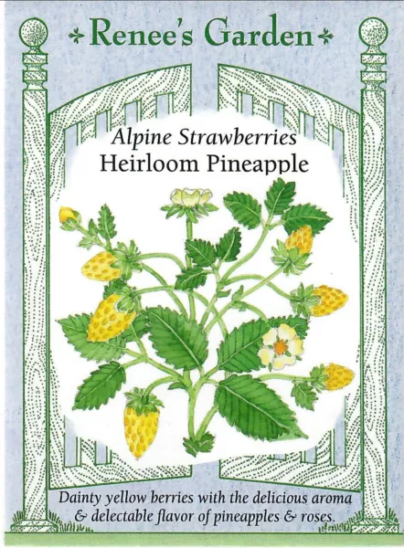 Strawberry Alpine Pineapple Heirloom Vegetable Seeds Renee&#39;S 12/24 Fresh... - $12.20