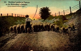 Herding Lambs to Pasture is the Schoolboy&#39;s Delight c.1913 POSTCARD BK67 - $4.95