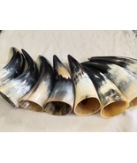 Original Buffalo Horn I Handmade Buffalo Horn Set I 6 Inch to 8 Inch Ale... - $70.00