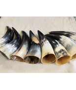 Original Buffalo Horn I Handmade Buffalo Horn Set I 6 Inch to 8 Inch Ale... - £54.72 GBP