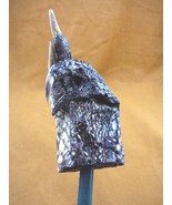 (g627-19) LARGE 4&quot; Gator FOOT Back Scratcher PAW ALLIGATOR backscratcher... - $36.83 CAD