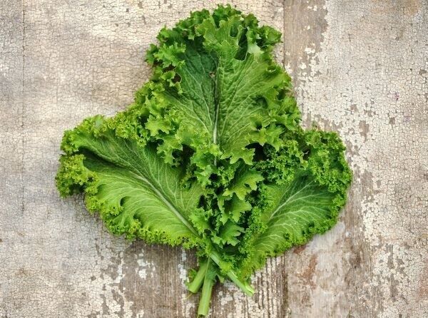 Green Wave Mustard 150 - 3k Seeds Tender Cold Hardy Sharp &amp; Spicy! Micro... - $1.65+