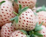 Sale 100 Seeds White Soul Strawberry Fragaria Vesca Fruit Flower Berry  USA - $9.90