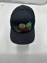 Vintage 1995 Budweiser Beer Iguana Lizards Snapback Black Hat - $462.19 MXN