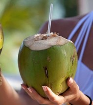 3 Fresh Green Natural Young Coconuts - £36.62 GBP