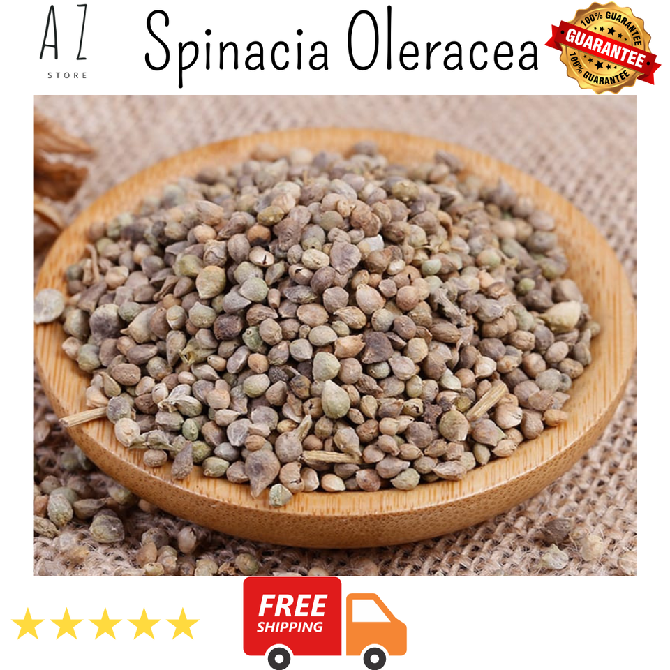 Premium Organic DRIED Spinacia Oleracea Seeds بذور السبانخ سبانخ - $17.09+