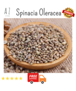 Premium Organic DRIED Spinacia Oleracea Seeds بذور السبانخ سبانخ - $23.47 CAD+