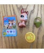 Tan &amp; Brown DONKEY G7 #87 - Littlest Pet Shop - Hasbro LPS - $222.58 MXN