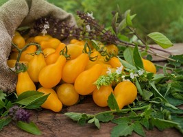 Yellow Pear Tomato Seeds - Organic &amp; Non Gmo Tomato Seeds - Heirloom Seeds - Fre - £2.13 GBP