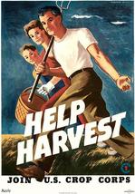Help Harvest - Join U.S. Crop Corps - 1943 - World War II - Propaganda Poster - £8.00 GBP+
