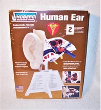 Lindberg Science Kits HUMAN EAR - $10.15